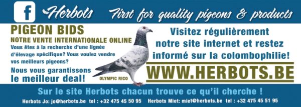 Tir aux pigeons de bureau - 8,50 €